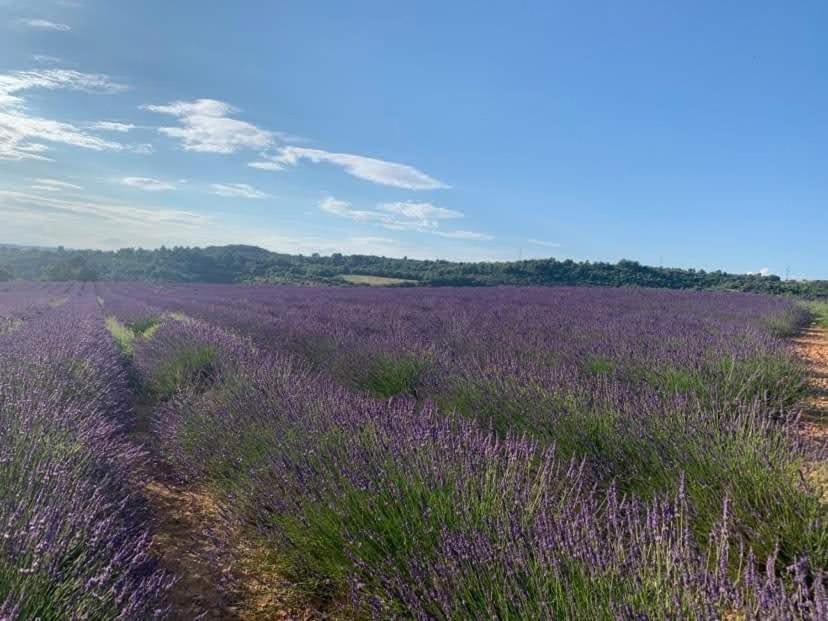 Cote Verdon Quinson Dış mekan fotoğraf